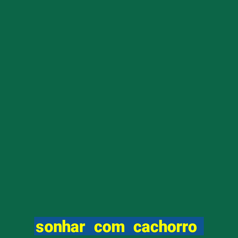 sonhar com cachorro sem cabeca